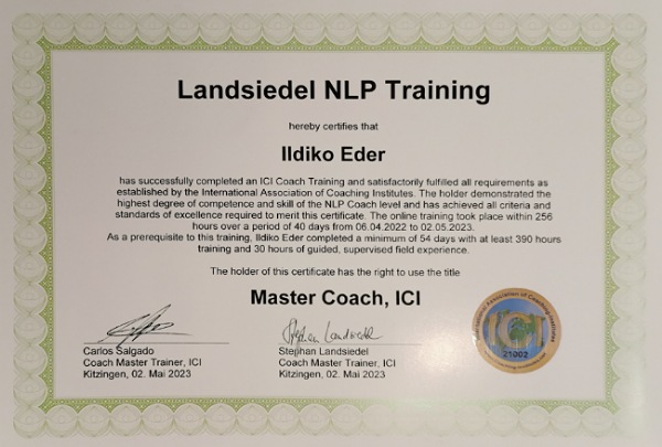 NLP Master Coach Zertifikat