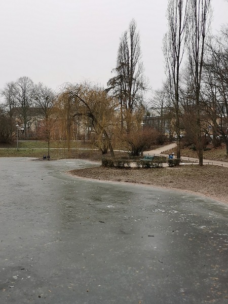 Lauenburger See eingefroren